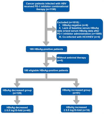 The occurrence of immune-related adverse events is an independent risk factor both for serum HBsAg increase and HBV reactivation in HBsAg-positive cancer patients receiving PD-1 inhibitor combinational therapy